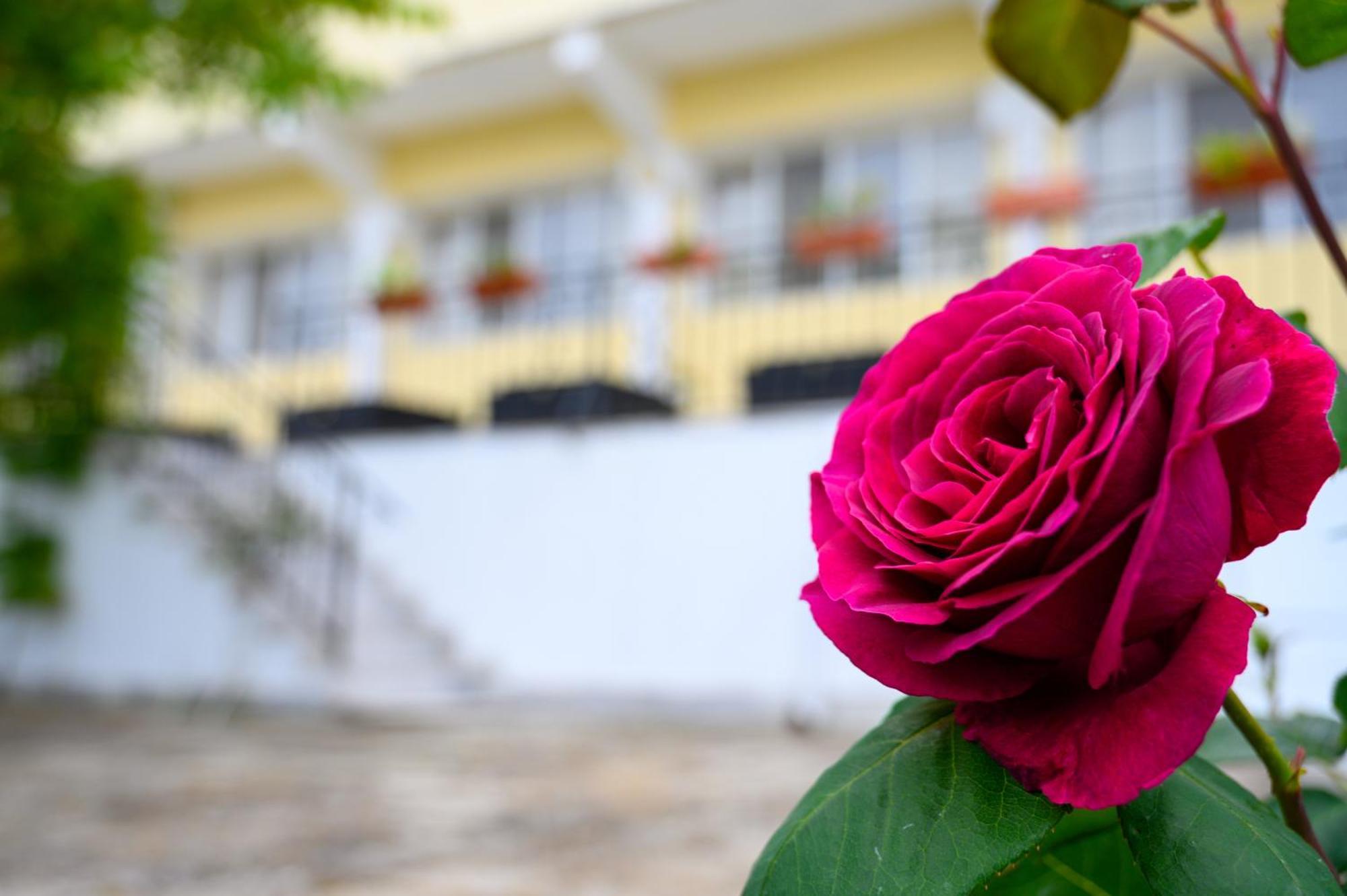 Effect Saint Mina Hotel Szozopol Kültér fotó